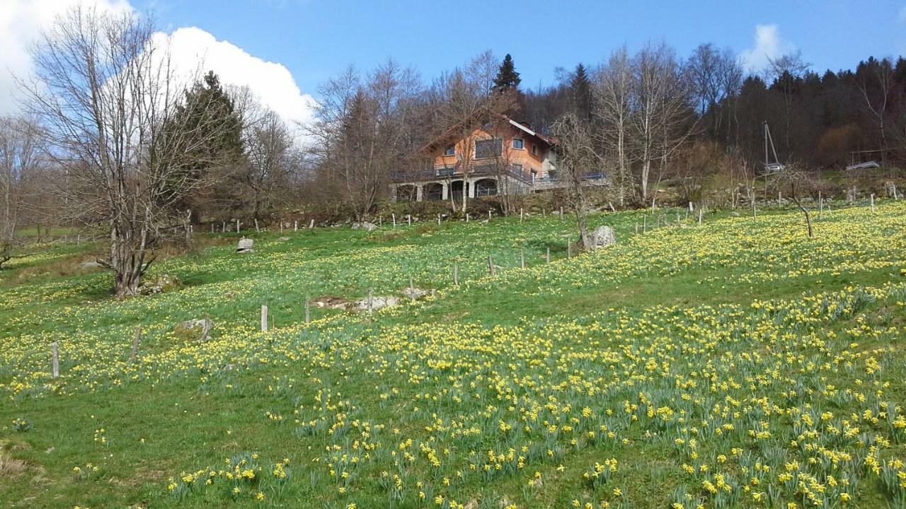 Gite De La Lombarde Le Tholy Exterior foto